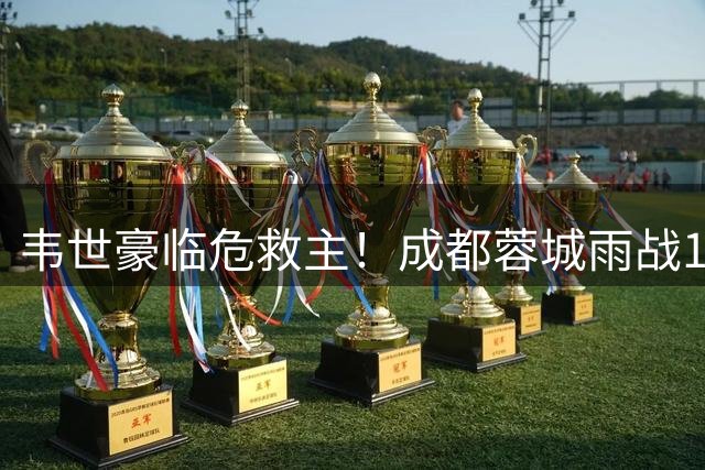 韦世豪临危救主！成都蓉城雨战1-1顽强逼平武汉三镇